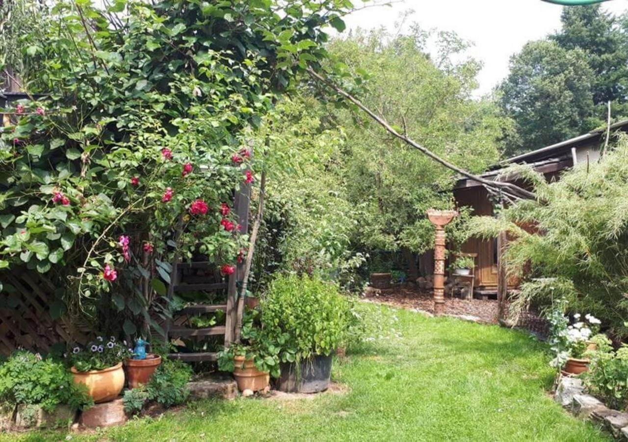 Aeltestes Haus In Quentel - 1 Mit Kleinem Garten Апартаменты Hessisch Lichtenau